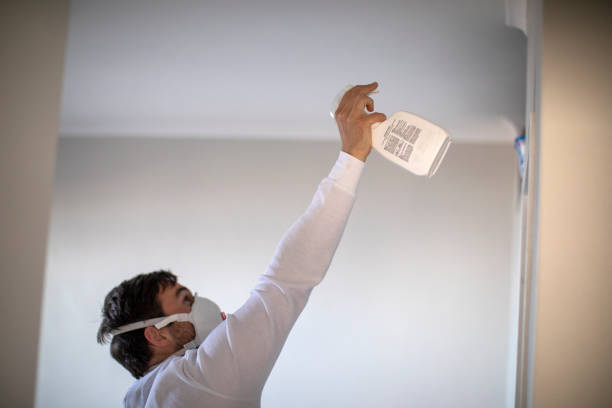 Best Fast Mold Removal  in Clinton, PA