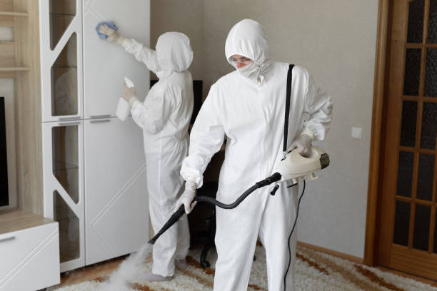Best Residential Mold Removal  in Clinton, PA