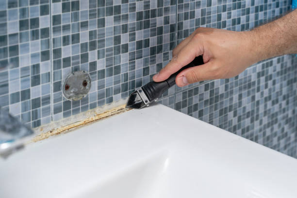 Best Mold Damage Repair  in Clinton, PA